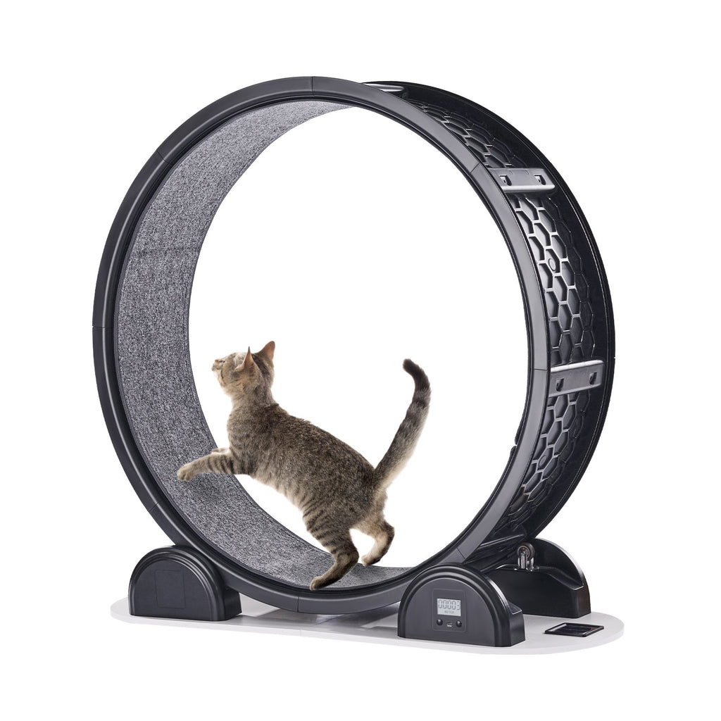 Cat Exercise Wheel With Pedometer Cat Treadmill For Pet Health Black