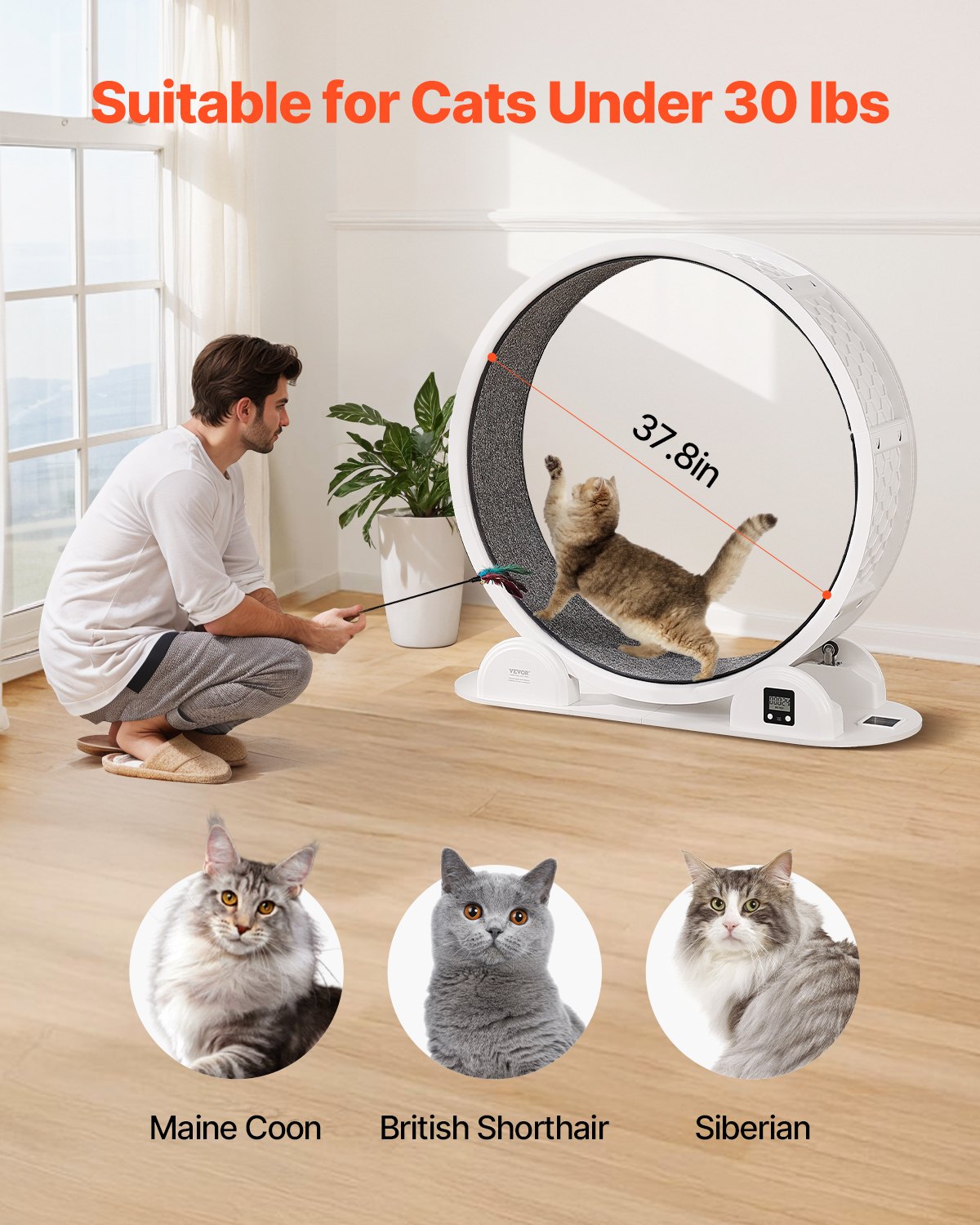 Cat Exercise Wheel With Pedometer 40.8 Cat Treadmill For Pet Health White